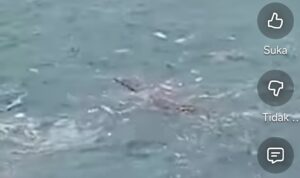 Screenshot_2026-02-01-17-26-18-105_com.facebook.katana-edit